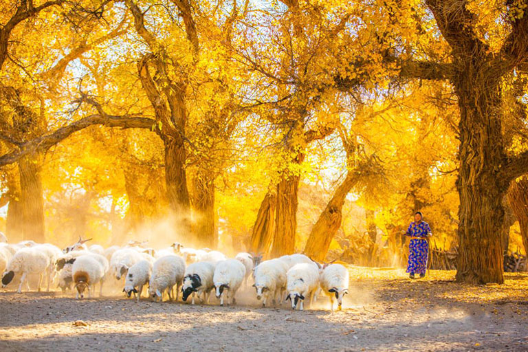 Things to Do in Inner Mongolia