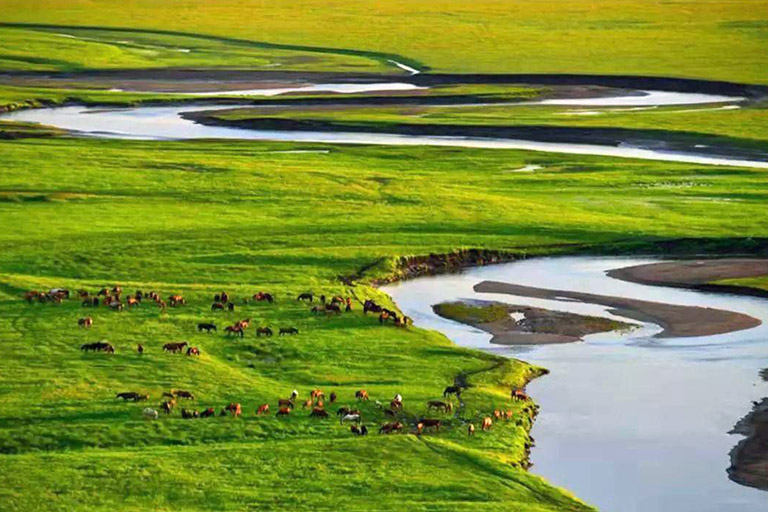 Horqin Grassland Inner Mongolia Grasslands