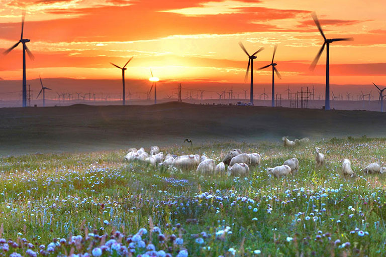 Inner Mongolia Grasslands