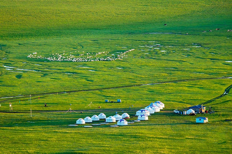 Ulgai Prairie Inner Mongolia Grasslands