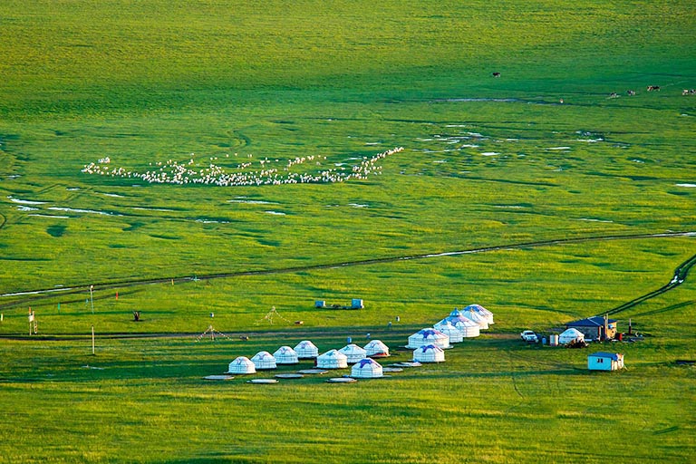 Inner Mongolia Grasslands