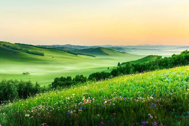 Inner Mongolia Grasslands