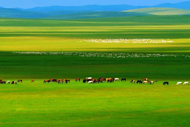 Inner Mongolia Landscape