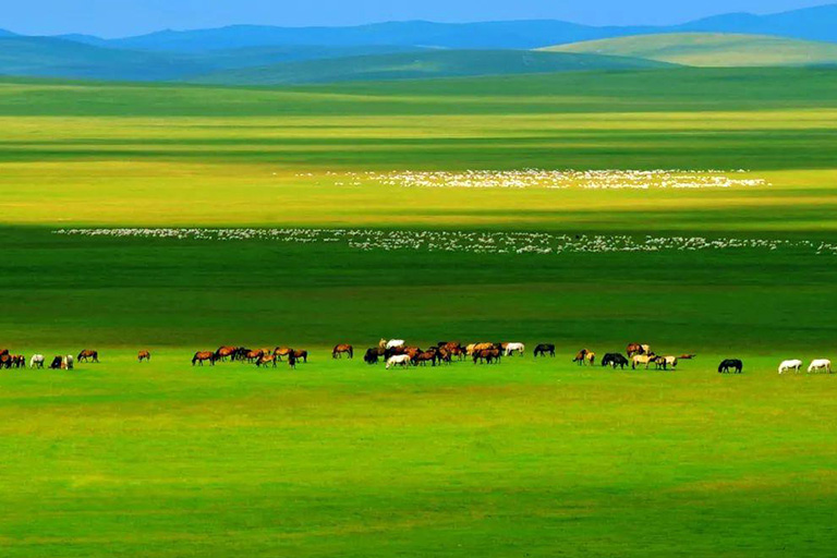 Inner Mongolia Grasslands