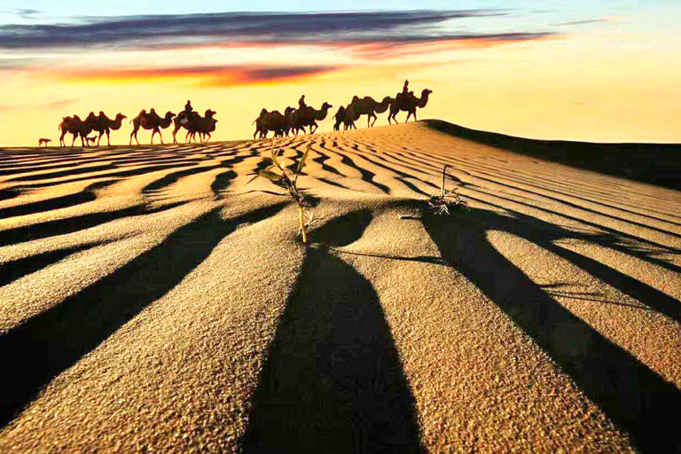 Kubuqi Desert - Hiking