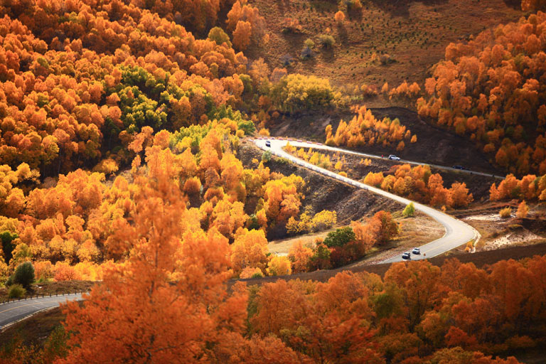 Chifeng Weather - Chifeng Autumn