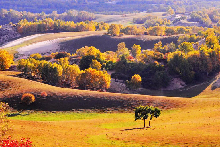 Wulan Butong Grassland in Autumn Chifeng