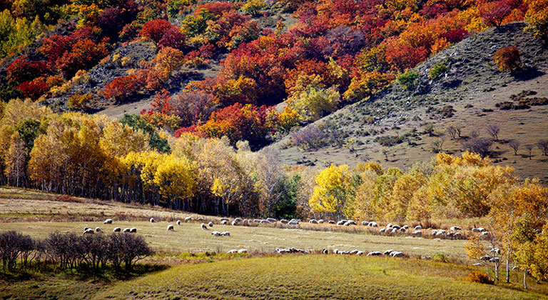 Five Colors Mountain Ulan Butong Grassland