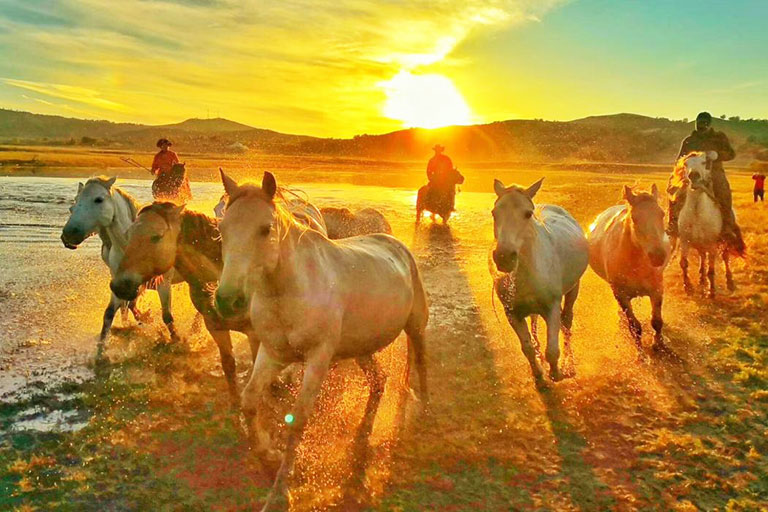 General Lake Ulan Butong Grassland
