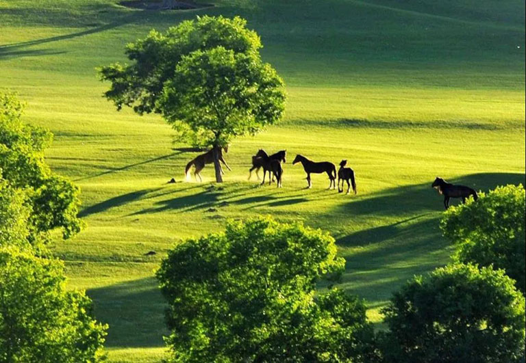 Ulan Butong Grassland