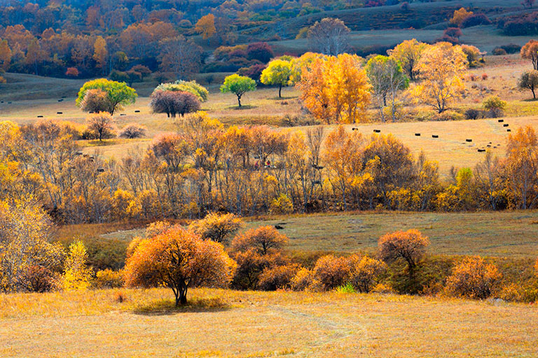 Ulan Butong Grassland in Autumn Ulan Butong Grassland