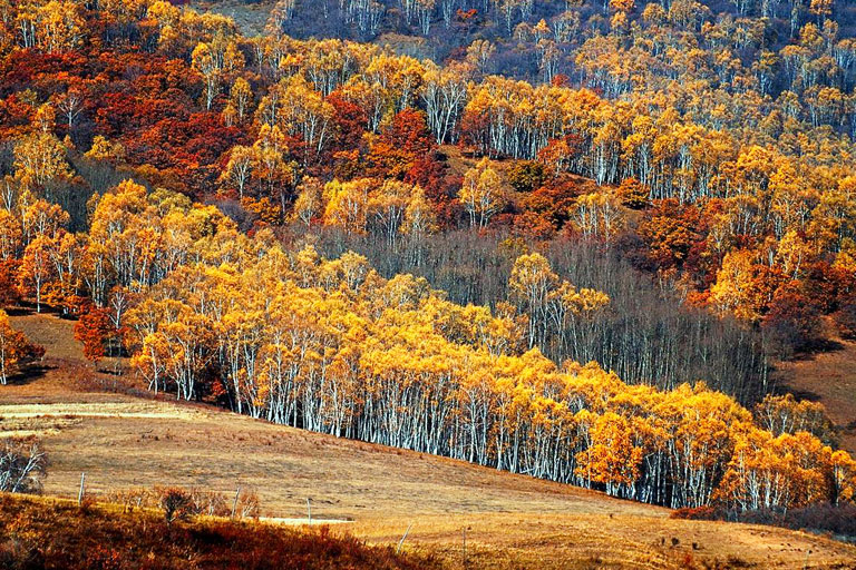 Chifeng Weather - Chifeng Autumn