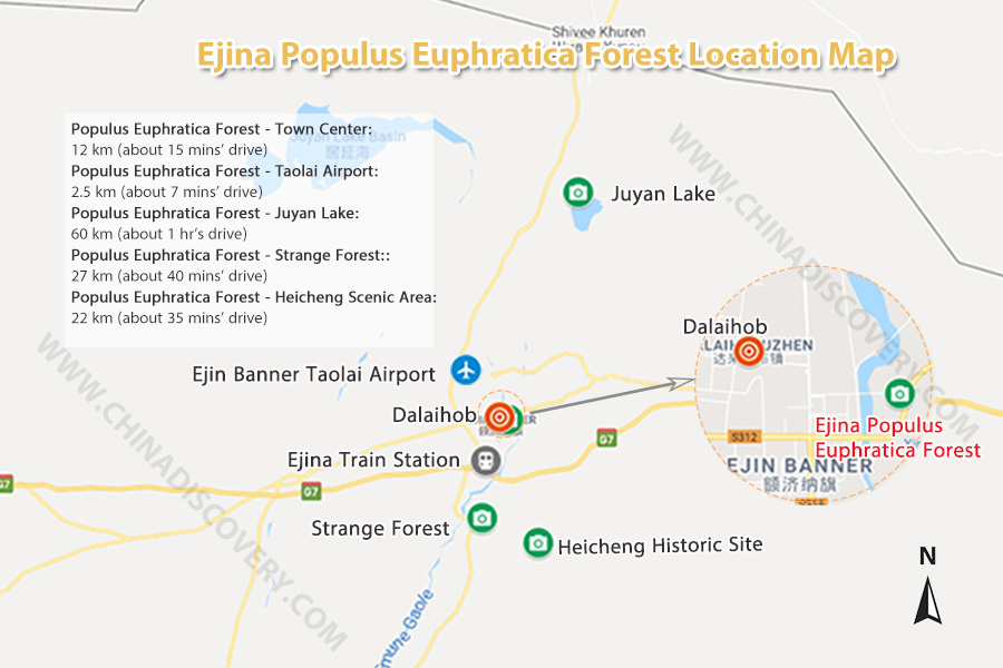 Ejina Populus Euphratica Forest Location Map