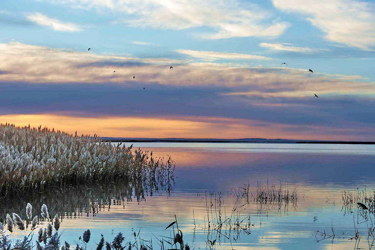Juyan Lake Ejina Populus Euphratica Forest