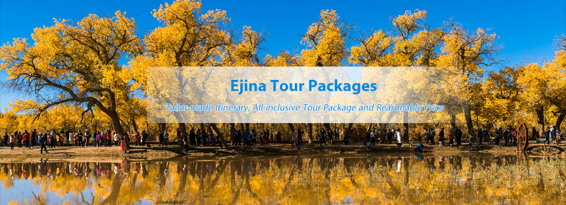 Ejin BannerTours