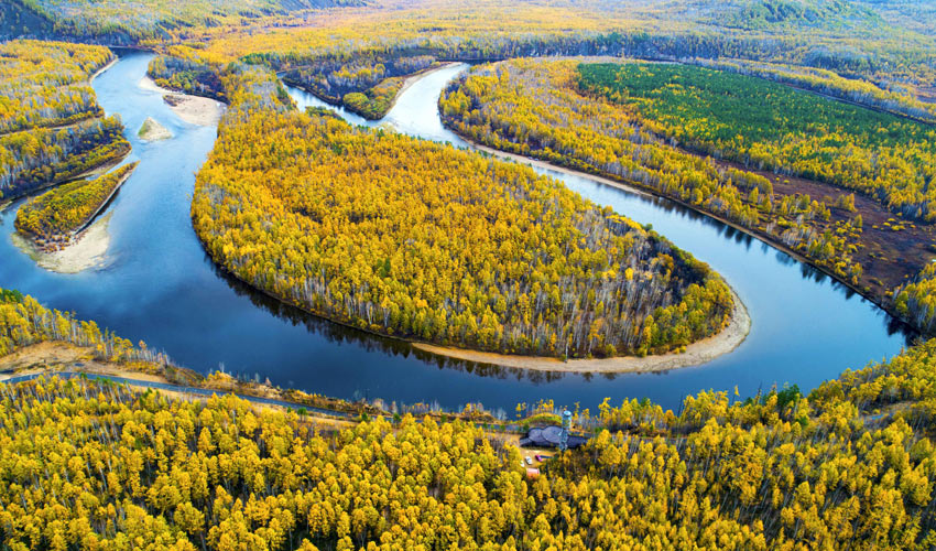 Inner Mongolia Autumn