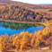 Inner Mongolia Autumn