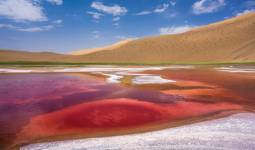 Inner Mongolia Summer