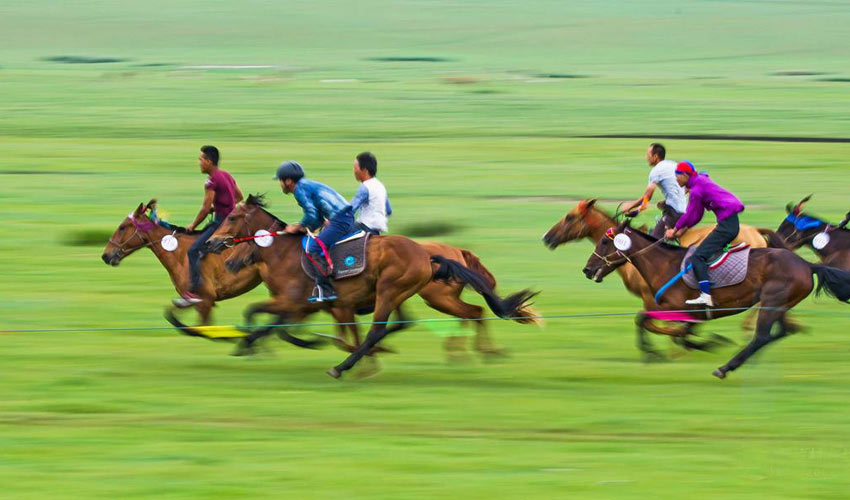 Inner Mongolia Summer