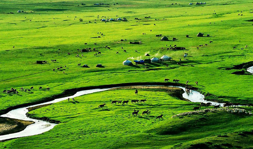 Inner Mongolia Summer