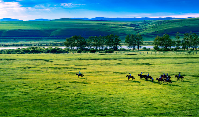 Inner Mongolia Summer
