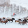 Inner Mongolia Winter