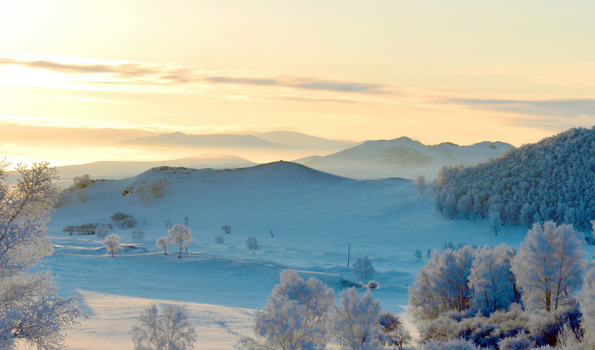 Inner Mongolia Winter