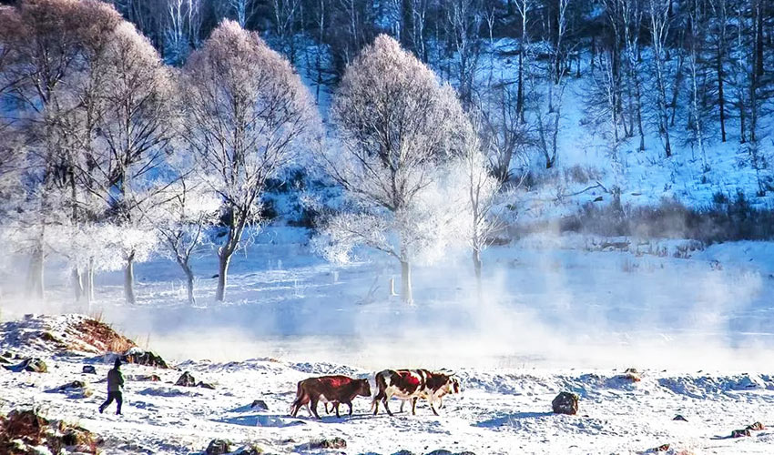 Inner Mongolia Winter