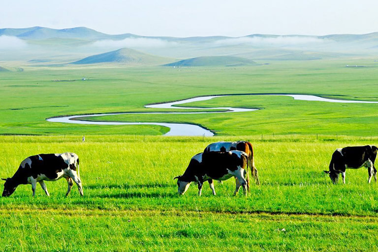 Inner Mongolia Travel