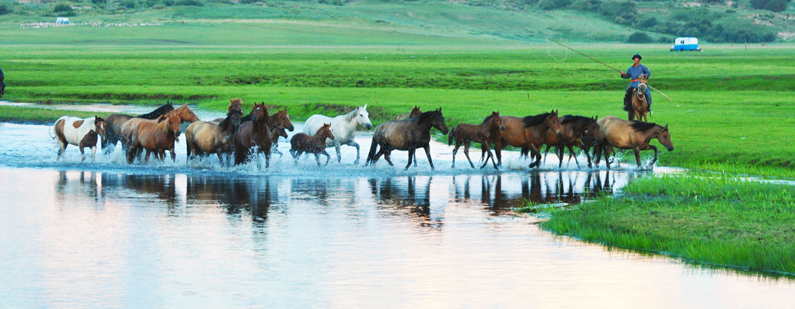 Naadam Festival Tour