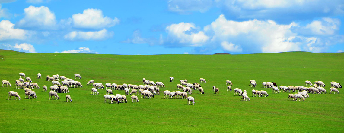 9 Days Hulunbuir In-depth Tour with Arshan UNESCO Global Geopark