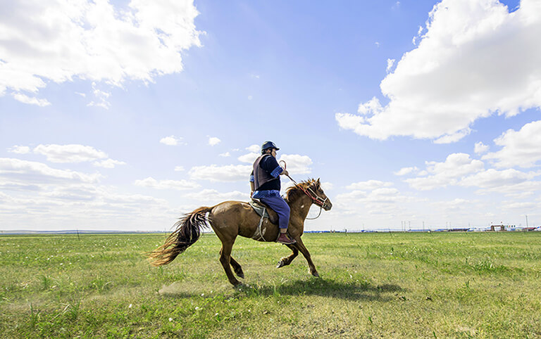 Exciting Galloping Across the Grassland at Heishantou Horse Ranch