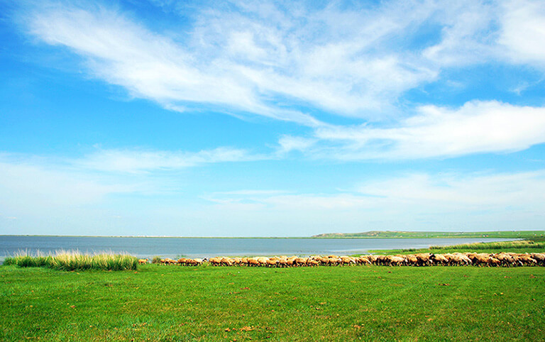 The Skyline Disappears over Hulun Lake