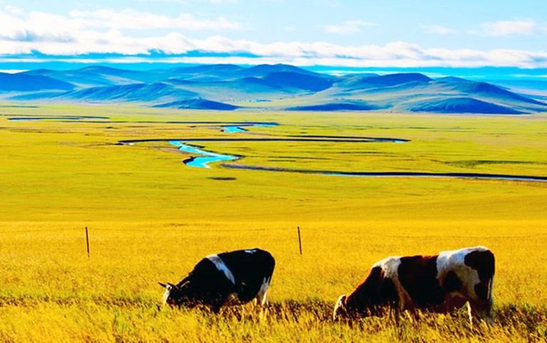 Hulunbuir Grassland in Autumn