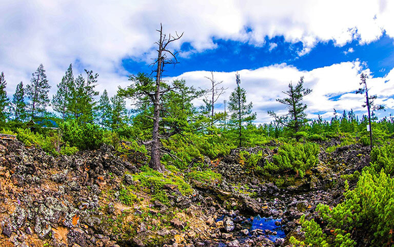 Shitang Forest