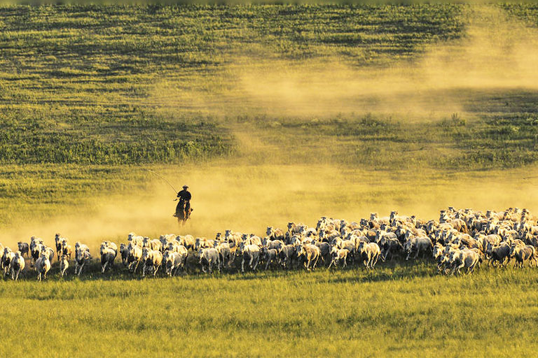 Naadam Festival Inner Mongolia