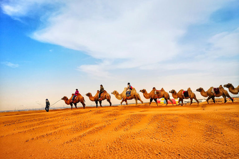 Camel Riding in Kubuqi Desert Get from Hohhot to Baotou - Tour Plan