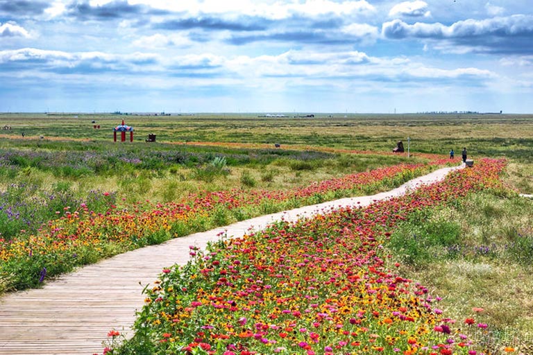 Ordos Grassland in Summer Ordos Attractions