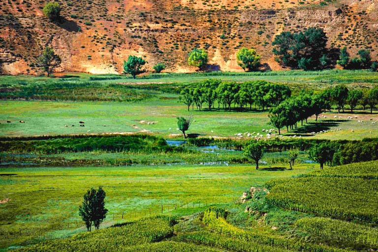 Salawusu Scenic Area in Summer Ordos Attractions