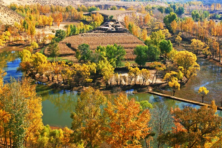 Salawusu Scenic Area in Autumn Ordos Attractions