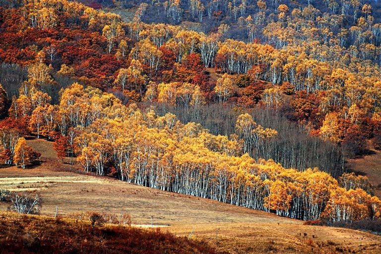 Inner Mongolia Weather - Autumn in Inner Mongolia