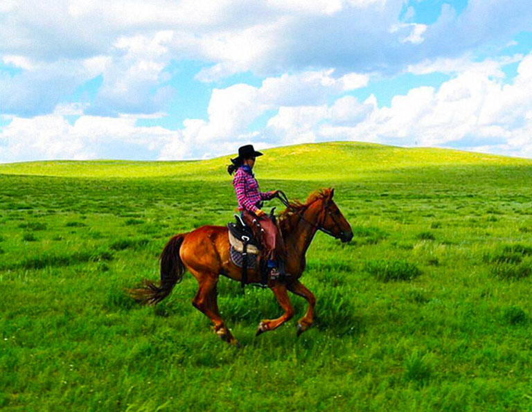 Huitengxile Grassland Horse Riding