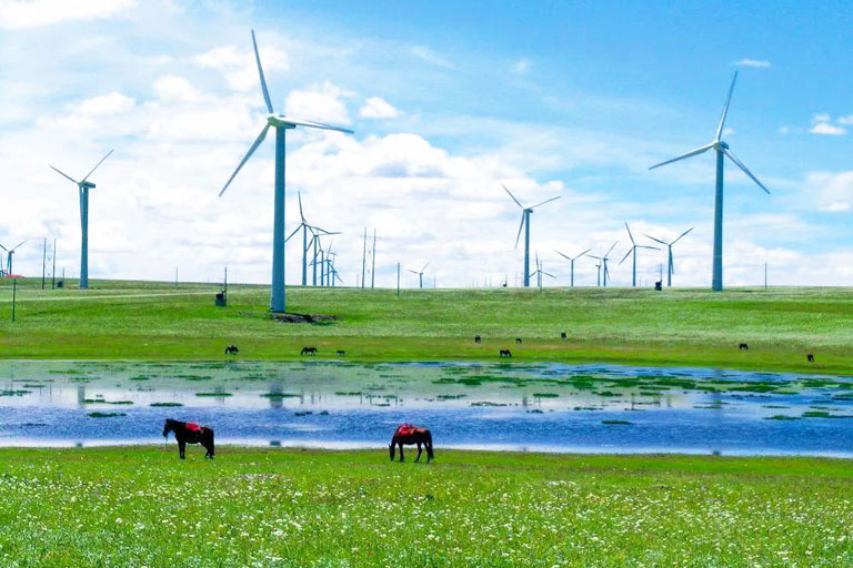 Huitengxile Grassland in July
