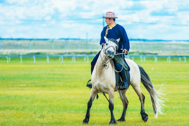 Xilamuren Grassland Horse Riding in Summer