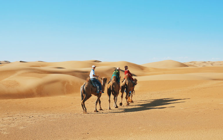 Kubuqi Desert - Things to Do