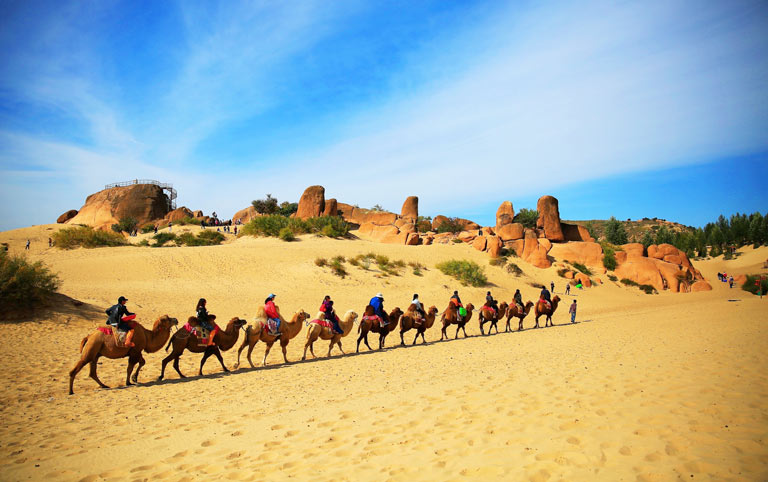 Yulong Sand Lake Camel Riding
