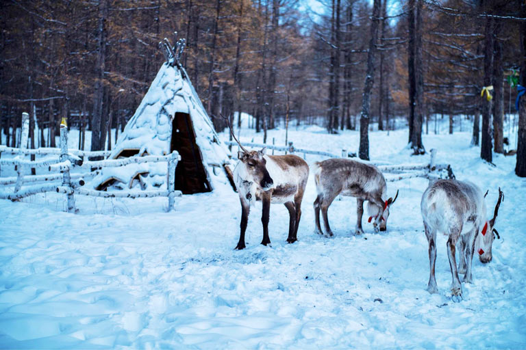 Inner Mongolia Winter