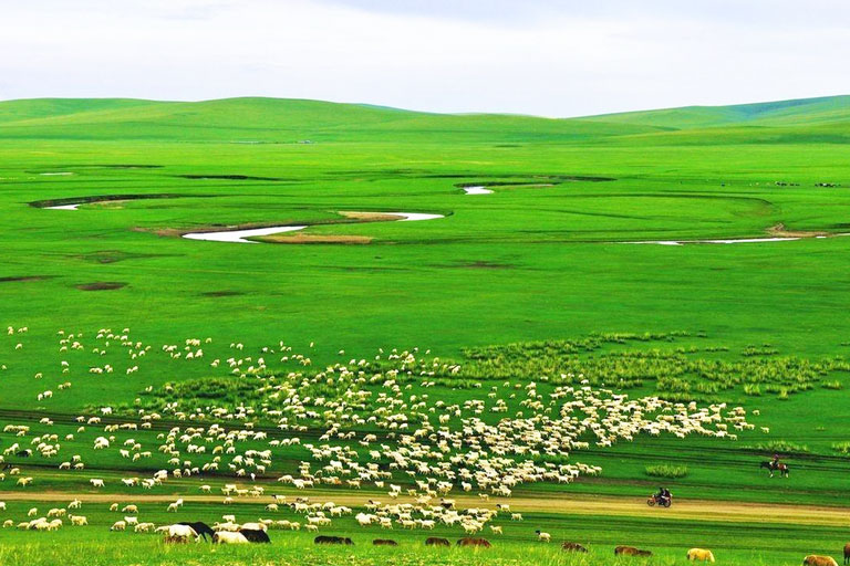 Hulunbuir Grassland Inner Mongolia Weather