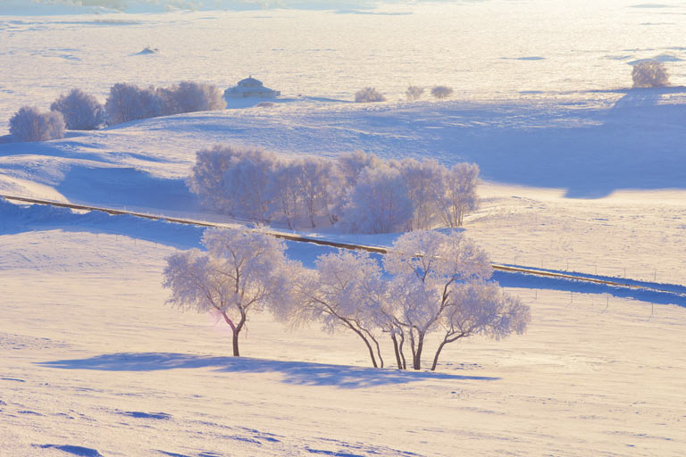 Inner Mongolia Winter