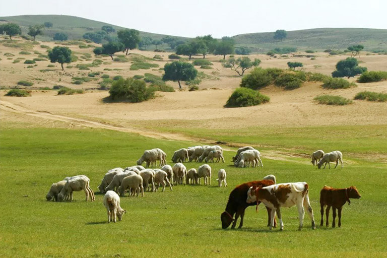 Xilingol Weather, Best Time to Visit Xilingol